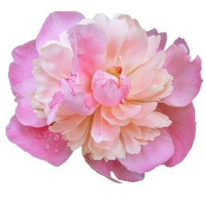 Meet your Posher, Madeleine jade